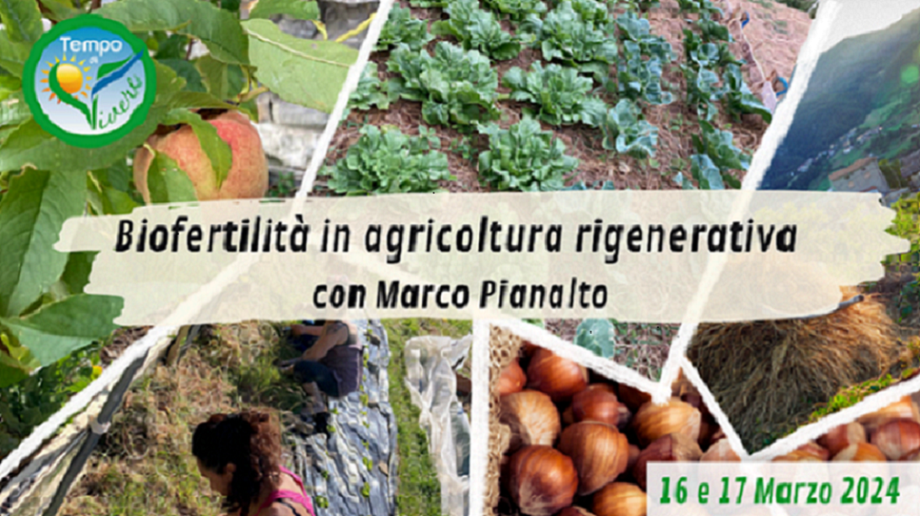 PIANALTO