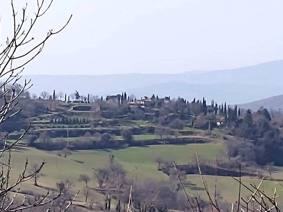 lascheggia panorama