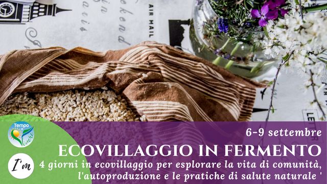ecv in fermento