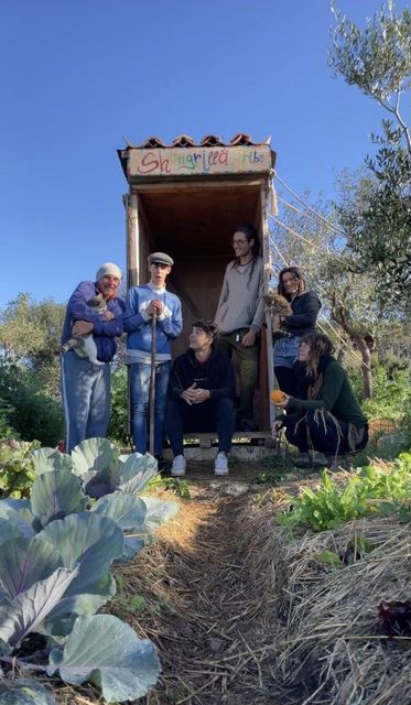 322941301 908835843808695 7131460905583178419 n 2