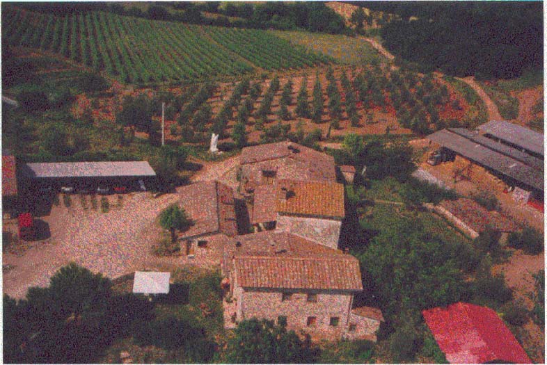 bagnaia-alto-1